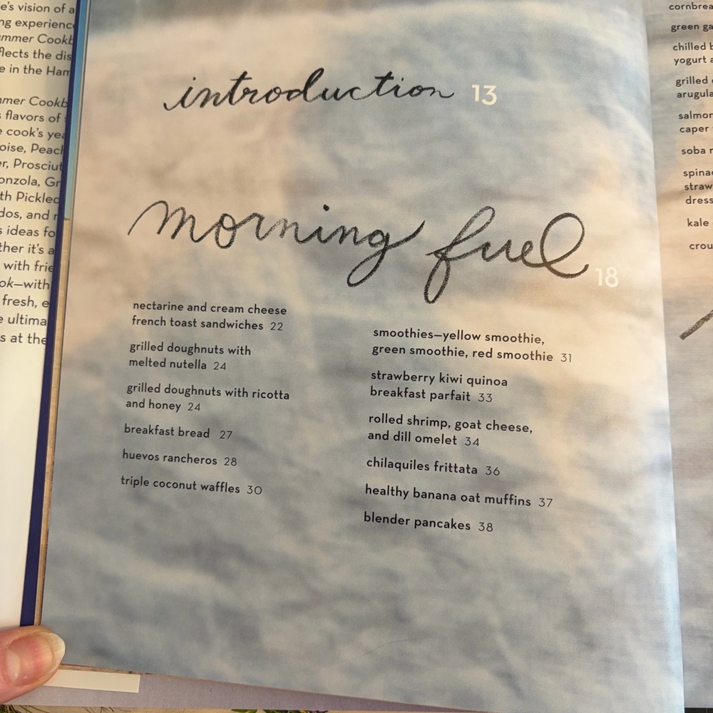 🍊Food Network Endless Summer Cookbook - Katie Lee - Picture 2 of 6